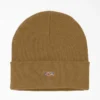 Cuffed Knit Beanie