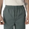 Dickies Skateboarding Grants Pass Relaxed Fit Shorts, 9″