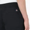 Dickies Skateboarding Grants Pass Relaxed Fit Shorts, 9″