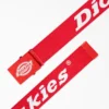 Logo Web Belt
