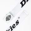 Logo Web Belt