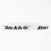 Logo Web Belt