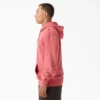 Plentywood Hoodie