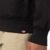 Union Springs Logo Hoodie